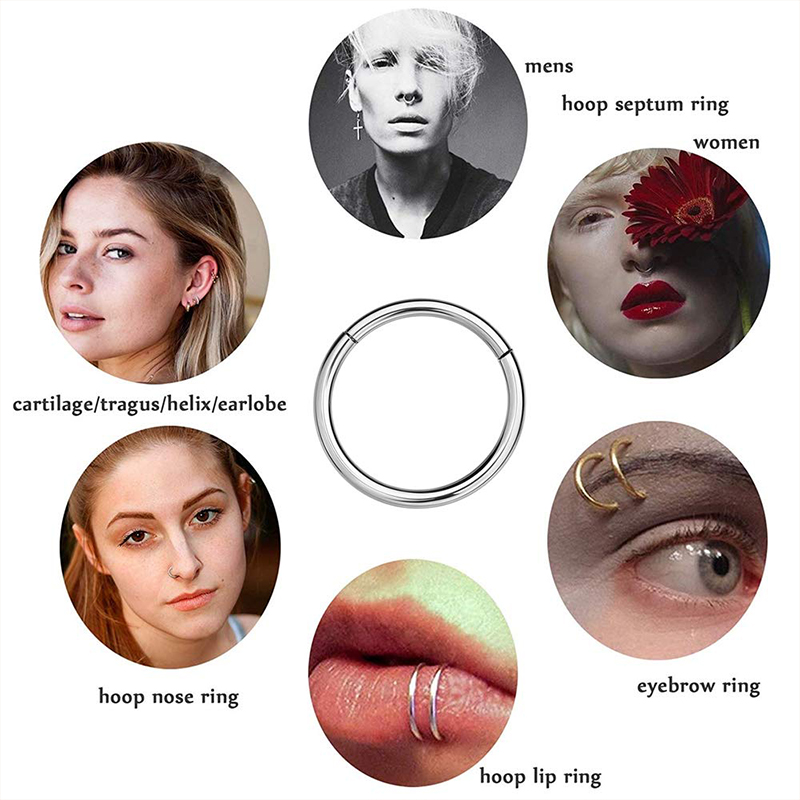 16G 316L Surgical Steel Hinged - Body Jewelry Piercing recension och pris