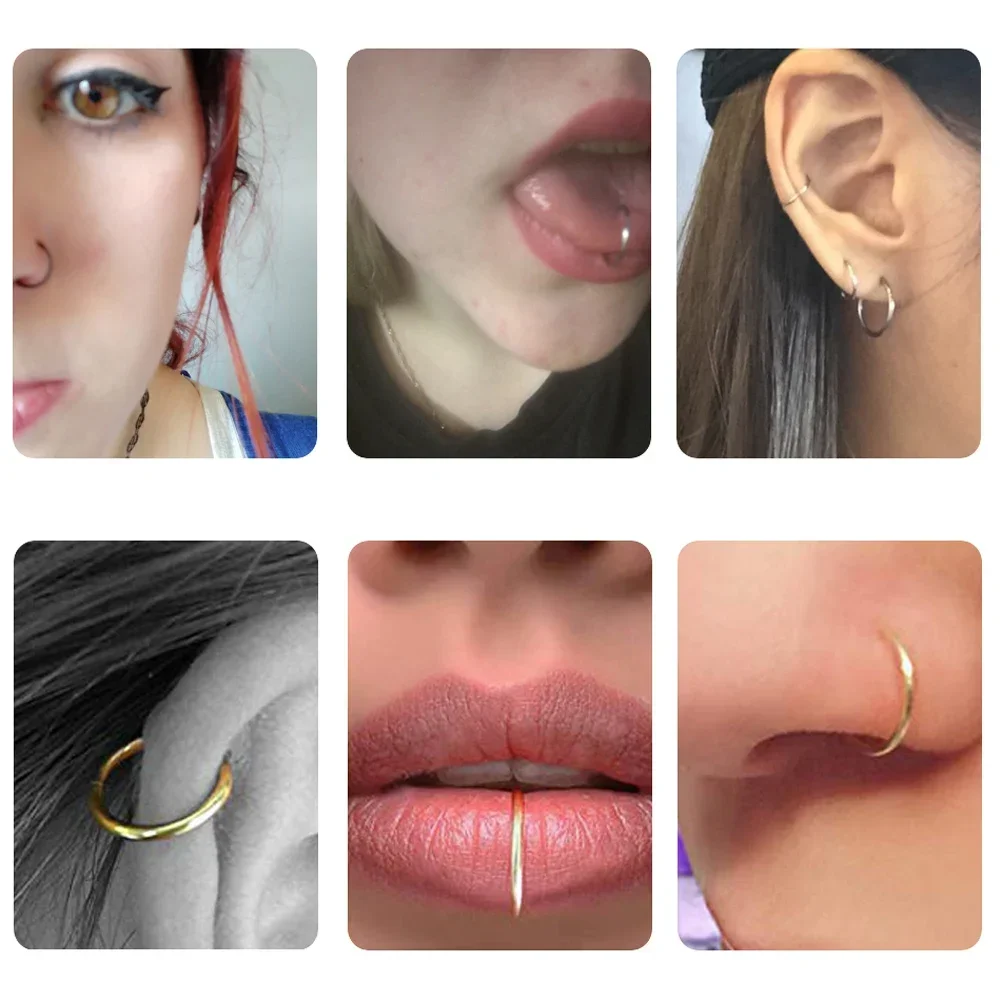 5pc 6/8/10mm Nose Ring Hinged  - Clicker Ring Seamless recension och pris