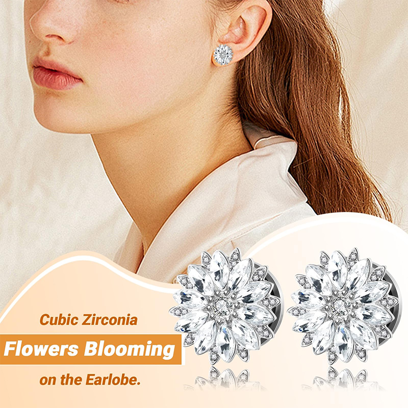 Ear Plugs and Tunnels with Cub - Body Jewelry Ear Plugs recension och pris