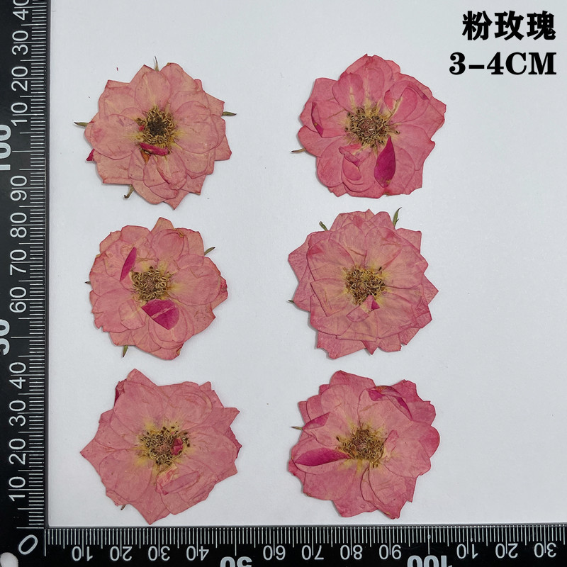 60pcs Pressed Dried Red Yellow - Body Jewelry Display Case recension och pris