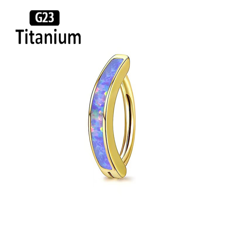 1PC 14G Implant Grade G23 Tita - Body Jewelry Implants recension och pris
