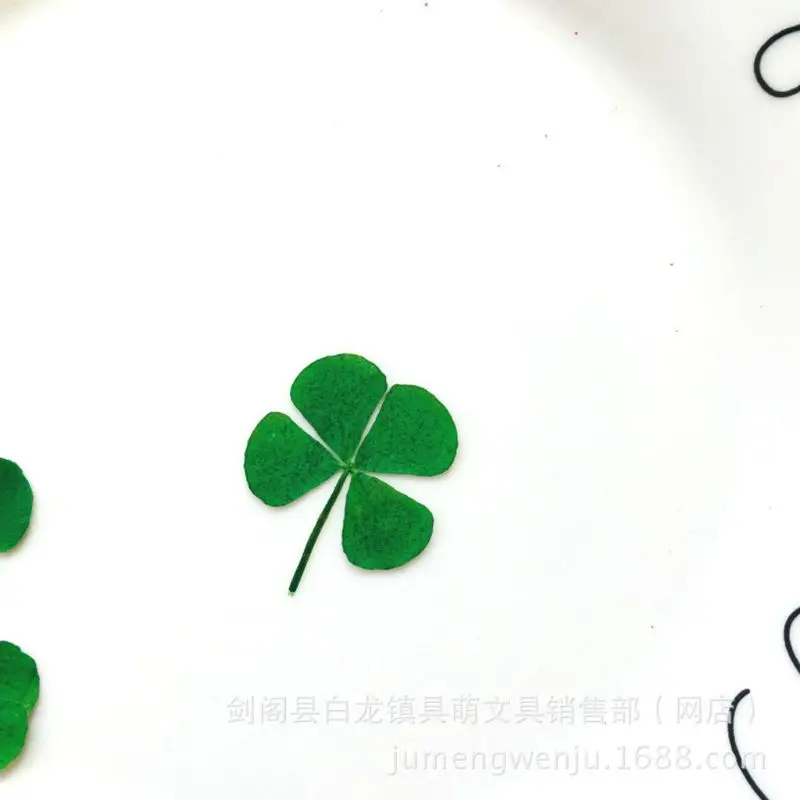 12Pcs Lucky Dried Leaf Clover  - Body Jewelry Display Case recension och pris